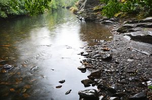 Llovizna sobre las aguas del río Cúa a su paso por San Vicente, Arganza, El Bierzo, León, Castiulla y León, España.