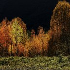 SERIE : BAJO OTRA MIRADA (I) – Primavera (4)