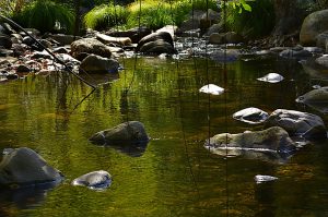 Rincón del río Burbia en las cercanías de Aira da Pedra, Villafranca del Bierzo, El Bierzo, León, Castilla y León, España.