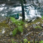 SERIE : BAJO OTRA MIRADA (I) – Verano (2)