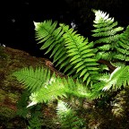 SERIE : BAJO OTRA MIRADA (I) – Verano (3)