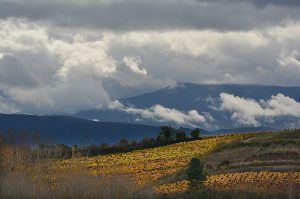 En las inmediaciones de Arganza, El Bierzo, León, Castilla y León, España.