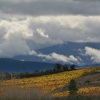 SERIE : BAJO OTRA MIRADA (I) – Otoño (2)