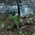 SERIE : BAJO OTRA MIRADA (I) – Verano (2)