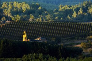 La Iglesia de la Asunción en Arganza, El Bierzo, León, Castilla y León, España.