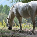 SERIE : BAJO OTRA MIRADA (I) – Verano (15)