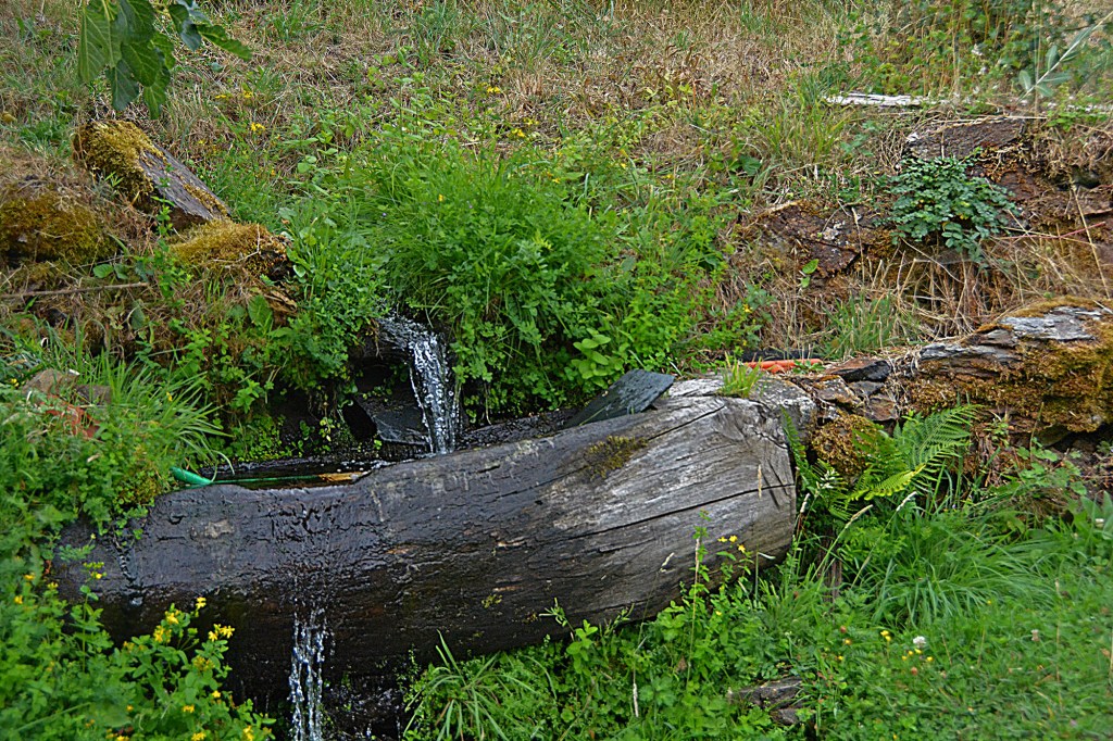 Fuente de agua cayendo sobre un tronco habilitado en pilón en las cercanías de Aira da Pedra, Villafranca del Bierzo, El Bierzo, León, Castilla y León, España.