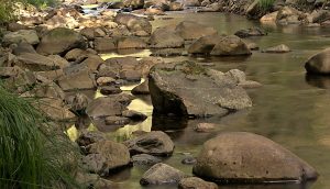 Tonos dorados en las aguas del río Burbia en las cercanías de Aira da Pedra, Villafranca del Bierzo, El Bierzo, León, Castilla y León, España.