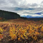 SERIE : BAJO OTRA MIRADA (I) – Otoño (6)