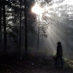 SERIE : BAJO OTRA MIRADA (I) – Otoño (5)