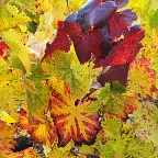 SERIE : BAJO OTRA MIRADA (I) – Otoño (1)