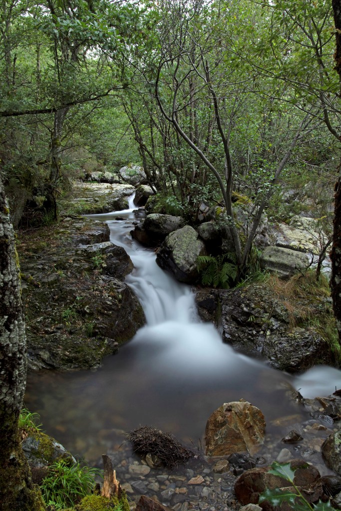 Arroyo afluente del río Burbia cercano al camino entre Burbia y Los Lagos, Vega de Espinareda, El Bierzo, León, Castilla y León, España.