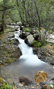 Arroyo afluente del río Burbia cercano al camino entre Burbia y Los Lagos, Vega de Espinareda, El Bierzo, León, Castilla y León, España.