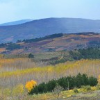SERIE : BAJO OTRA MIRADA (I) – Otoño (1)