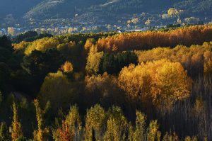 Vista desde el Bosque Didáctico de Prada, Arganza, El Bierzo, León, Castilla y León, España.