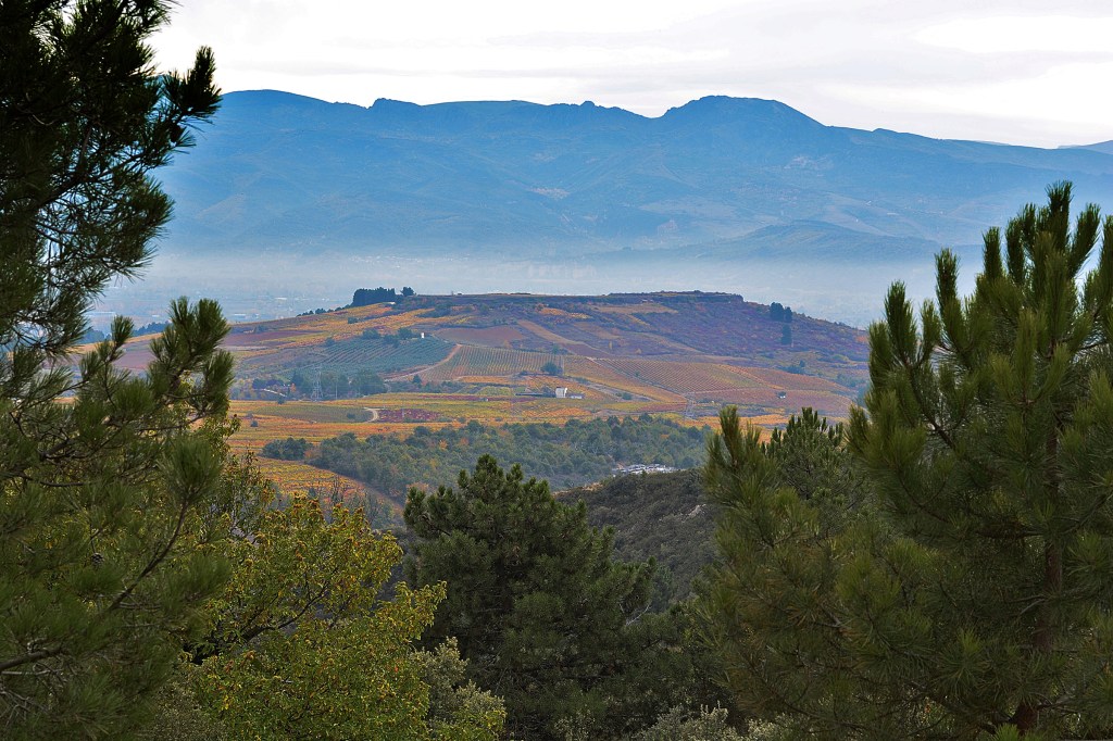 La meseta de Castroventosa desde la cuesta hacia Pobladura de Somoza en su lado de Pieros, Cacabelos, El Bierzo, León, Castilla y León, España.