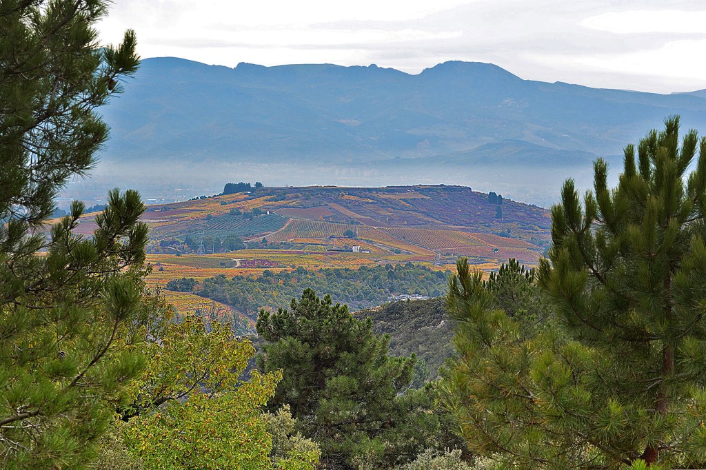 La meseta de Castroventosa desde la cuesta hacia Pobladura de Somoza en su lado de Pieros, Cacabelos, El Bierzo, León, Castilla y León, España.