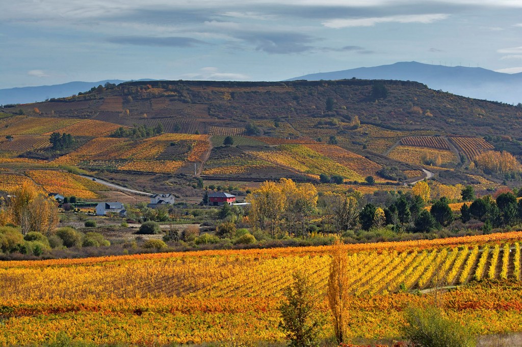 La Peña del Castro (Castroventosa), vestida de sus mejores coloresotoñales en su vertiente occidental, Valtuille de Abajo, Villafranca del Bierzo, El Bierzo, León, Castilla y León, España.