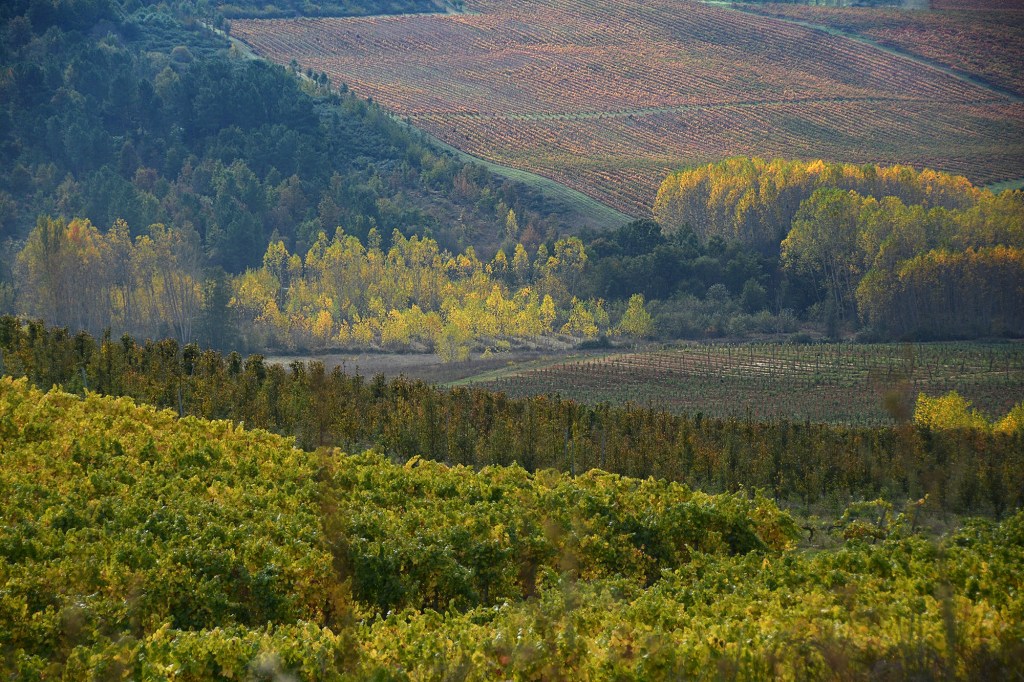 Explosión del otoño en las inmediaciones de Magaz de Arriba, Arganza, El Bierzo, León, Castilla y León, España.
