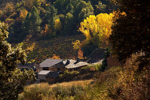 Un día de otoño en San Clemente, Cacabelos, El Bierzo, León, Castilla y León, España.