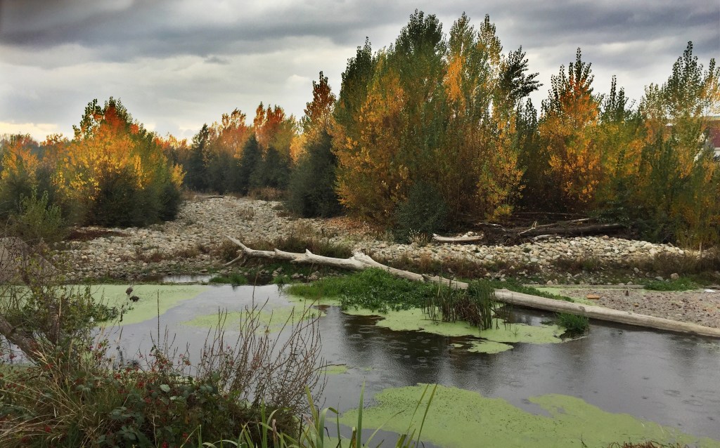 La lluvia se suma al otoño en un rincón del río Cúa próximo a Cacabelos, El Bierzo, León, Castilla y León, España.