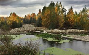 La lluvia se suma al otoño en un rincón del río Cúa próximo a Cacabelos, El Bierzo, León, Castilla y León, España.