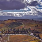 SERIE : BAJO OTRA MIRADA (I) – Otoño (10)