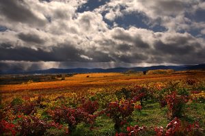 Aguaceros en el horizonte del Bajo Bierzo, El Bierzo, León, Castilla y León, España.
