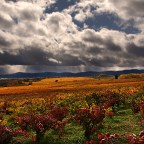 SERIE : BAJO OTRA MIRADA (I) – Otoño (7)