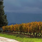 SERIE : BAJO OTRA MIRADA (I) – Otoño (9)