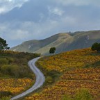 SERIE : BAJO OTRA MIRADA (I) – Otoño (7)