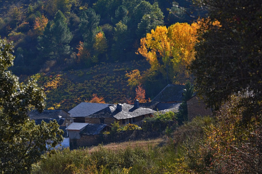  Día de otoño en San Clemente, Cacabelos, El Bierzo, León, Castilla y León, España.