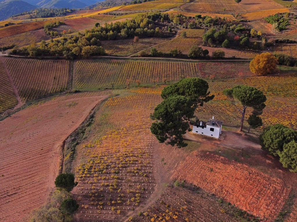 La Casilla de los Pinos a vista de dron en las cercanías de Valtuille de Arriba, Villafranca del Bierzo, El Bierzo, León, Castilla y León, España.