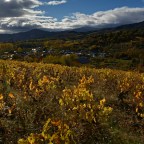 SERIE : BAJO OTRA MIRADA (I) – Otoño (y 13)