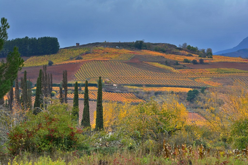Cementerio y Castroventosa cubierta de viñedos amarillos en una toma desde el paraje de La Lamaciña, Cacabelos, El Bierzo, León, Castilla y León, España.
