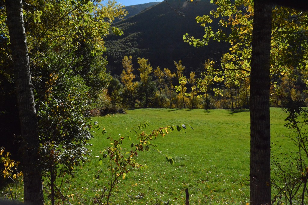 Prado en las cercanías de San Pedro de Olleros, Vega de Espinareda, El Bierzo, León, Castilla y León, España.