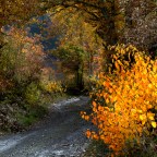 SERIE : BAJO OTRA MIRADA (II) – Otoño (1)