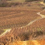 SERIE : BAJO OTRA MIRADA (I) – Invierno (5)