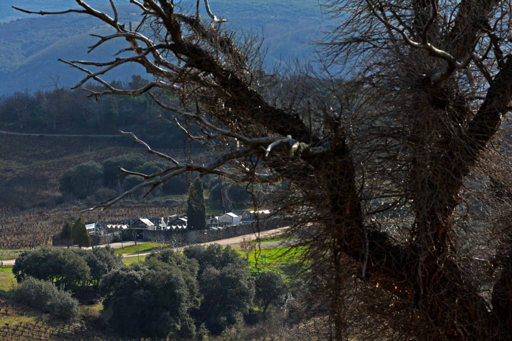 Cementerio de Villadecanes, Toral de los Vados, El Bierzo, León, Castilla y Leòn, España.