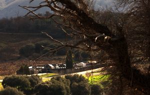 Cementerio de Villadecanes, Toral de los Vados, El Bierzo, León, Castilla y Leòn, España.