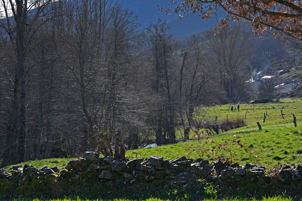 La pareja de la fotografía anterior una vez finalizada la arriesgada tarea de vuelta a su aldea de Suertes, Valle de Ancares, Ancares, El Bierzo, León, Castilla y León, España.