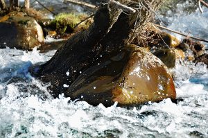 El agua del Burbia golpea con fuerza los cantos rodados de su cauce en las cercanías de Aira da Pedra, Villafranca del Bierzo, El Biezo, León, Castilla y León, España.