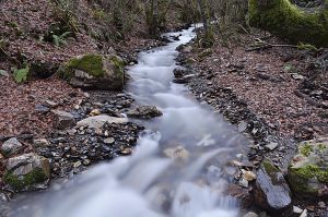 Aguas en movimiento del río Valdueza (Oza) en las cercanías de San Clemente de Valdueza, Ponferrada, El Bierzo, León, Castilla y León, España.