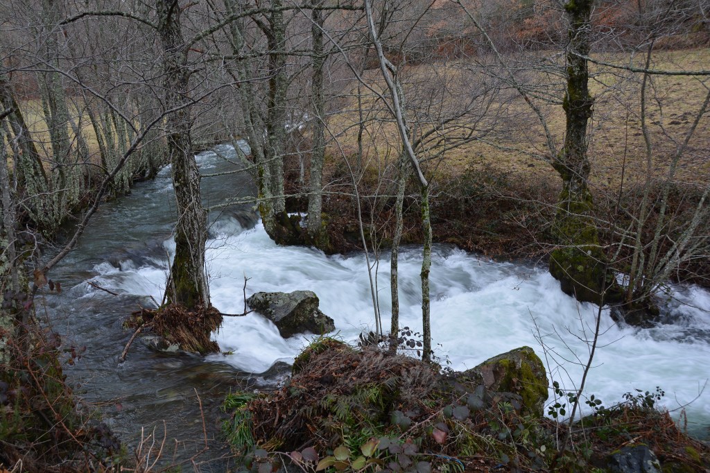 Las turbulentas aguas del río Suertes riegan los prados de la aldea de Suertes, Valle de Ancares (Candín), El Bierzo, León, Castilla y León, España.