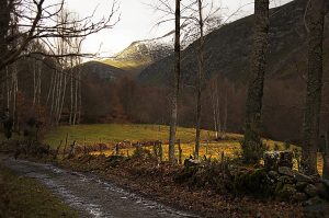 Paraje de inolvidables recuerdos en las proximidades de Suertes, Valle de Ancares,(Candín), Ancares, El Bierzo, León, Castilla y León, España.