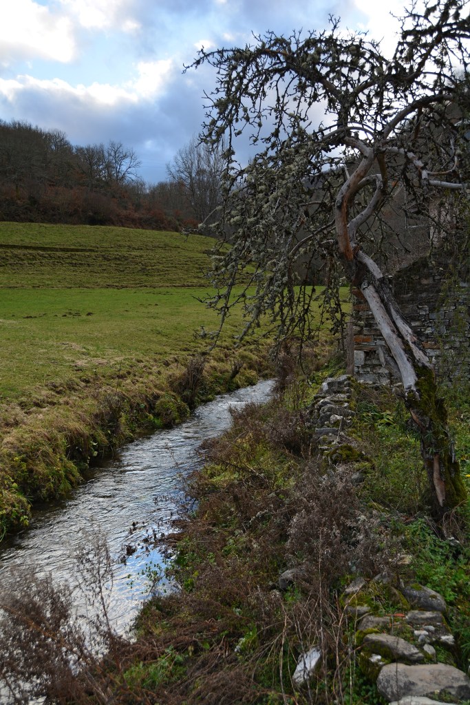 Canal entre prados naturales en Las Herrerías, Vega de Valcarce, El Bierzo, León, Castilla y León, España.