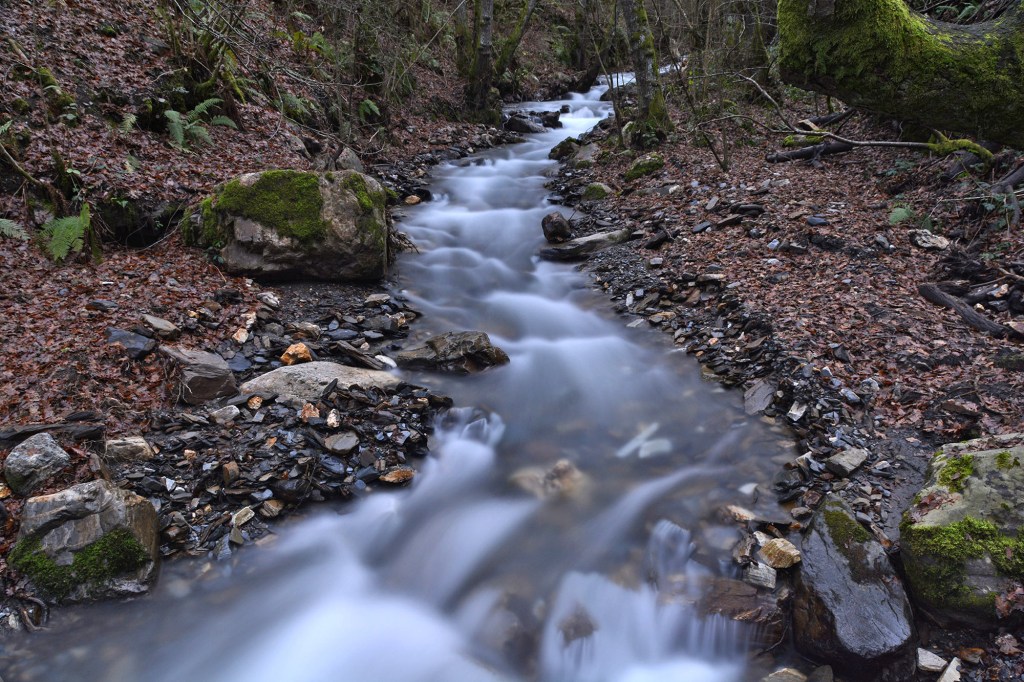 Aguas en movimiento del río Valdueza (Oza) en las cercanías de San Clemente de Valdueza, Ponferrada, El Bierzo, León, Castilla y León, España.
