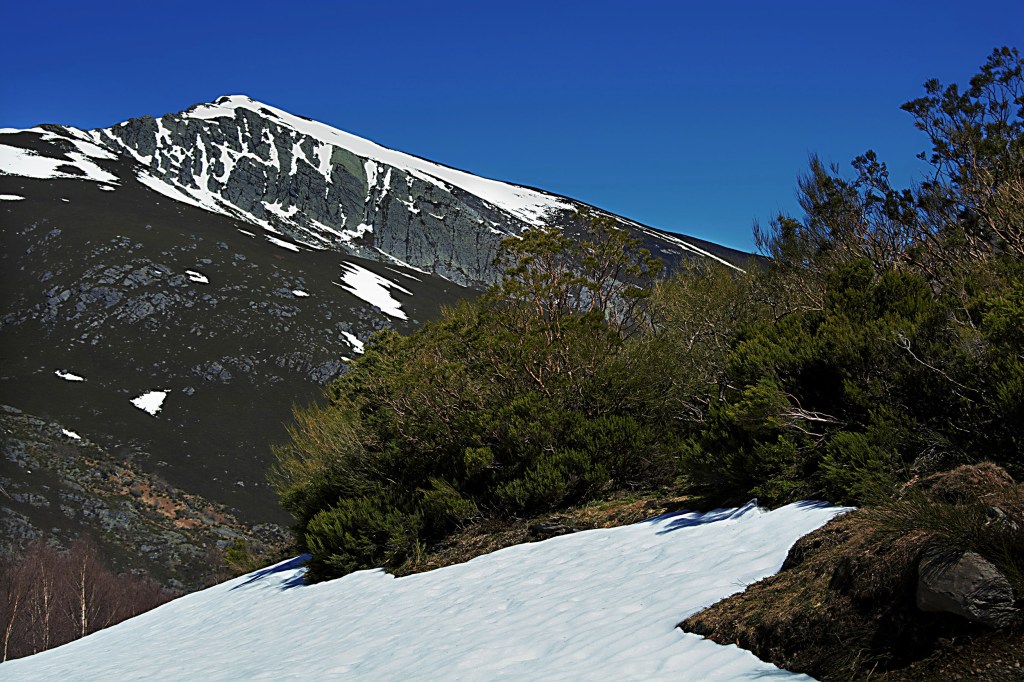Nieve en las inmediaciones de Guímara, Peranzanes, Ancares, El Bierzo, León, Castilla y León, España.