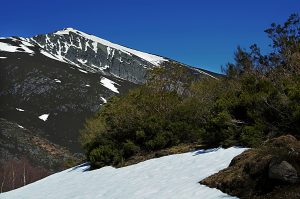 Nieve en las inmediaciones de Guímara, Peranzanes, Ancares, El Bierzo, León, Castilla y León, España.
