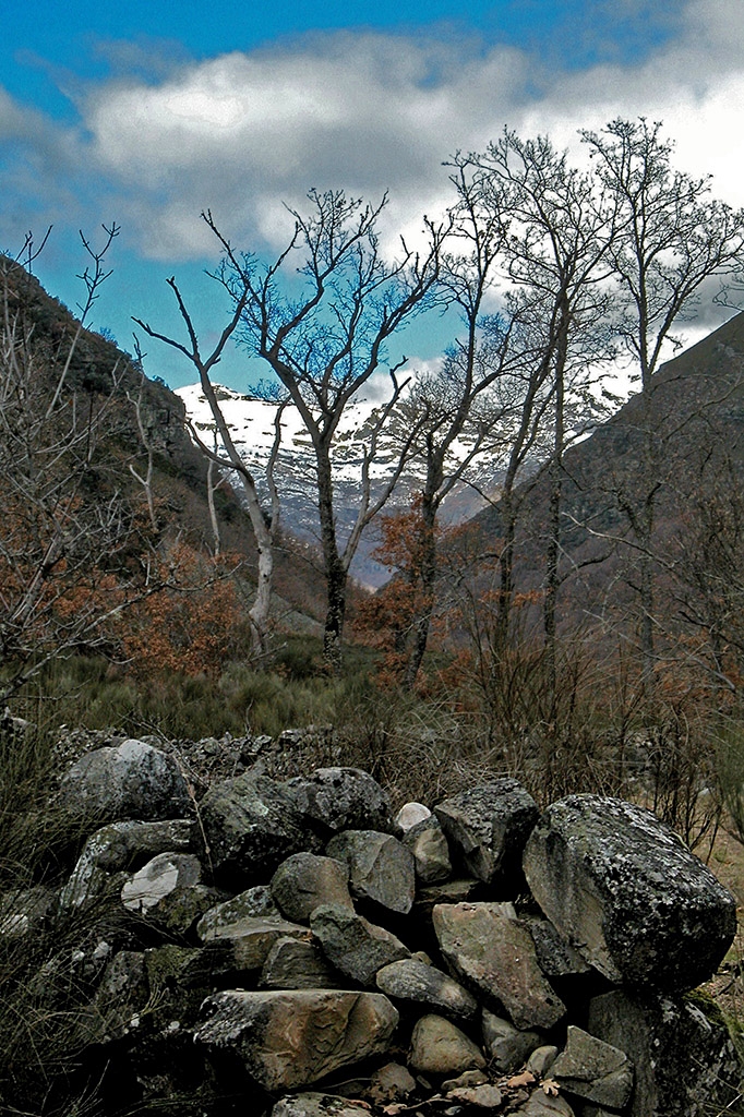 Muro de piedras y montañas nevadas al fondo en las inmediaciones de Suertes, Valle de Ancares, Ancares, El Bierzo, León, Castilla y León, España.